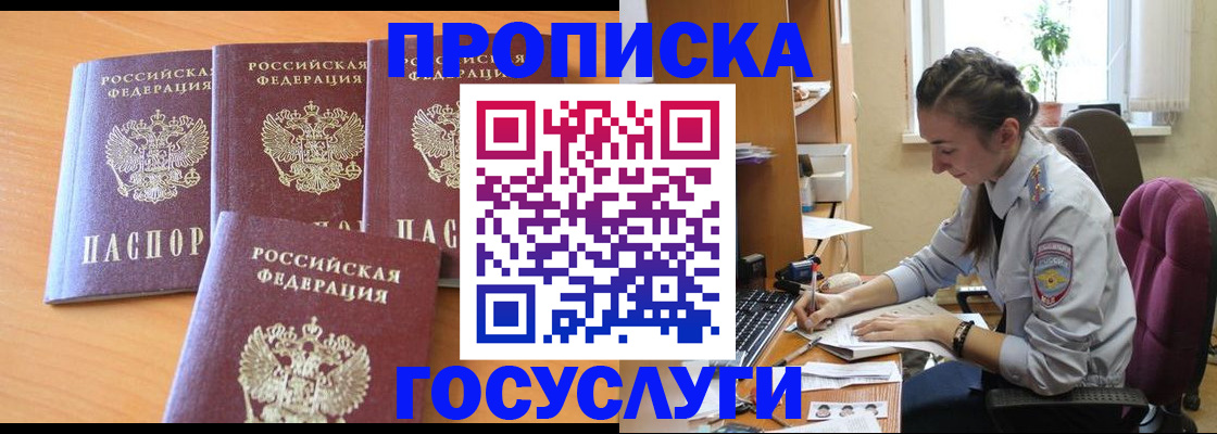 прописка поиск в Купино